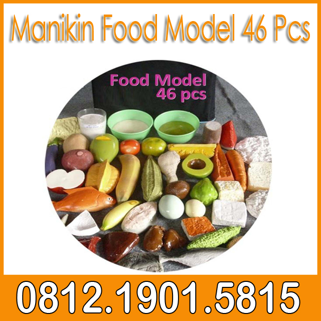 Manikin Food Model 46 Pcs