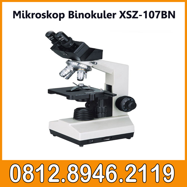 Mikroskop Binokuler XSZ-107BN murah, jual Mikroskop Binokuler XSZ-107BN, harga Mikroskop Binokuler XSZ-107BN, daftar harga Mikroskop Binokuler XSZ-107BN, spesifikasi Mikroskop Binokuler XSZ-107BN, gambar Mikroskop Binokuler XSZ-107BN, toko jual Mikroskop Binokuler XSZ-107BN murah di Bintaro, toko jual Mikroskop Binokuler XSZ-107BN murah di tangerang, toko jual Mikroskop Binokuler XSZ-107BN murah pramuka, toko jual glodok, harga mikroskop binokuler olympus, harga microscope olympus, harga mikroskop olympus cx31, harga mikroskop olympus cx41, mikroskop olympus cena, mikroskop olympus cx22, harga mikroskop cahaya, daftar harga mikroskop cahaya, harga mikroskop cahaya monokuler, harga mikroskop cahaya binokuler, harga mikroskop digital, harga mikroskop siswa, harga mikroskop binokuler, harga mikroskop optik, harga mikroskop cahaya monokuler, beli mikroskop cahaya, prosedur penggunaan mikroskop binokuler, jual mikroskop cahaya, daftar harga mikroskop siswa, daftar harga mikroskop elektron, harga mikroskop binokuler olympus, harga mikroskop cahaya, cara menggunakan mikroskop cahaya, harga mikroskop cahaya monokuler, cara kerja mikroskop cahaya, tata cara penggunaan mikroskop, prosedur kerja mikroskop, urutan penggunaan mikroskop, cara menggunakan miskroskop, distributor Mikroskop Jakarta, distributor mikroskop tangerang selatan, distributor mikroskop pramuka, grosir mikroskop murah pramuka, grosir mikroskop murah jakarta, grosir mikroskop murah ciputat, toko mikroskop di jakarta, toko mikroskop di surabaya, jual mikroskop, beli mikroskop murah, jual mikroskop mini, jual mikroskop digital, jual mikroskop olympus, spesifikasi jual mikroskop digital, jual mikroskop olympus bekas, harga mikroskop olympus cx21, jual mikroskop digital, jual teleskop murah, jual teropong bintang murah, jual mikroskop monokuler, harga mikroskop untuk siswa, harga mikroskop manual, mikroskop lanjutan, harga mikroskop monokuler, beli jual mikroskop digital, jual mikroskop digital kecil, jual mikroskop murah, jual mikroskop usb, daftar harga mikroskop digital, spesifikasi mikroskop digital, mikroskop digital mini, daftar harga mikroskop binokuler, mikroskop binokuler dan bagian-bagiannya, makalah mikroskop binokuler, mikroskop binokuler dan keterangannya, cara menggunakan mikroskop binokuler, distributor mikroskop binokuler, fungsi mikroskop binokuler, mikroskop binokuler wikipedia, jual mikroskop stereo binokuler