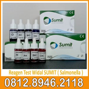 Reagen Test Widal SUMIT ( Salmonella )